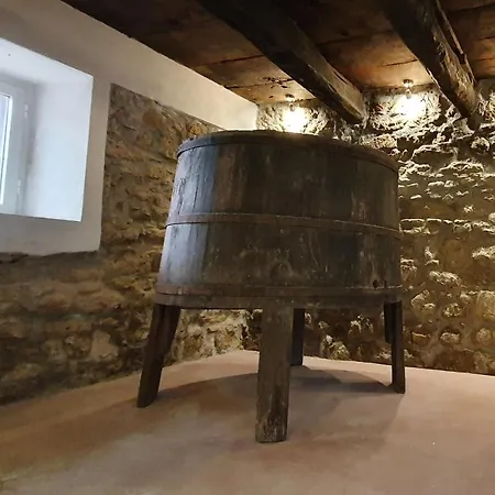 Vinea Del Selvatico Cascina Agricola